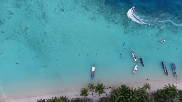 Сильные Аффирмации+ Медитация на Каждый День для Устранения Негативных Программ и Создания Позитив смотреть онлайн