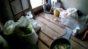 Курица села на ноги что делать?