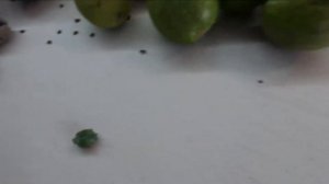 Сувениры и косметика из Крыма.