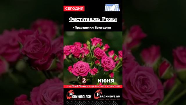 Сегодня, 2 июня, в этот день отмечают праздник, Фестиваль Розы