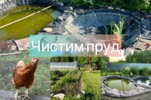 Чистим пруд