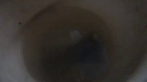 Очистка аквариумного оборудования белизной