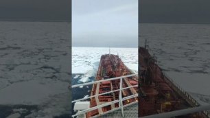 Бескрайняя Арктика. Корабли ломают льды.