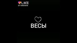 Чёрно белые розы тронуто в белом свете тонут там