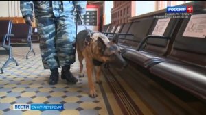 В России отмечают День полиции