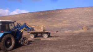 Гружу солому трактором мтз 82!