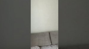 Однокомнатная квартира возле Курортной зоны.
