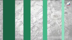 Химический состав клетки