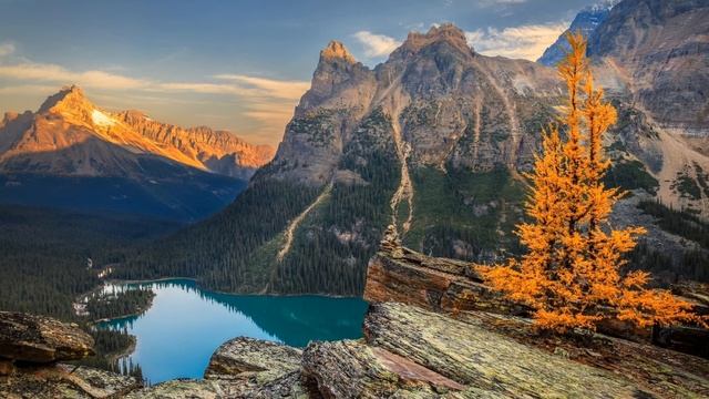 Dear Gravity & Be Still the Earth. Apotheosis смотреть онлайн