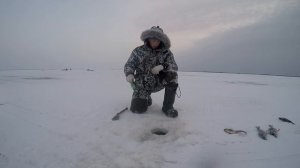 Поездка на озеро Эндра, второй день , бешенный клев окуня на балансир,щука на жерлицу в прилове .