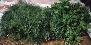 Зелень замораживаю на зиму только таким способом.