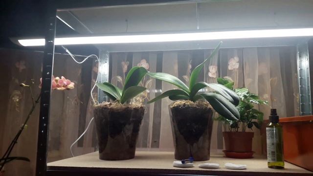 Стеллаж для рассады полностью собран смотреть онлайн