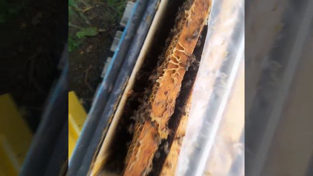 не успели расширить смотреть онлайн