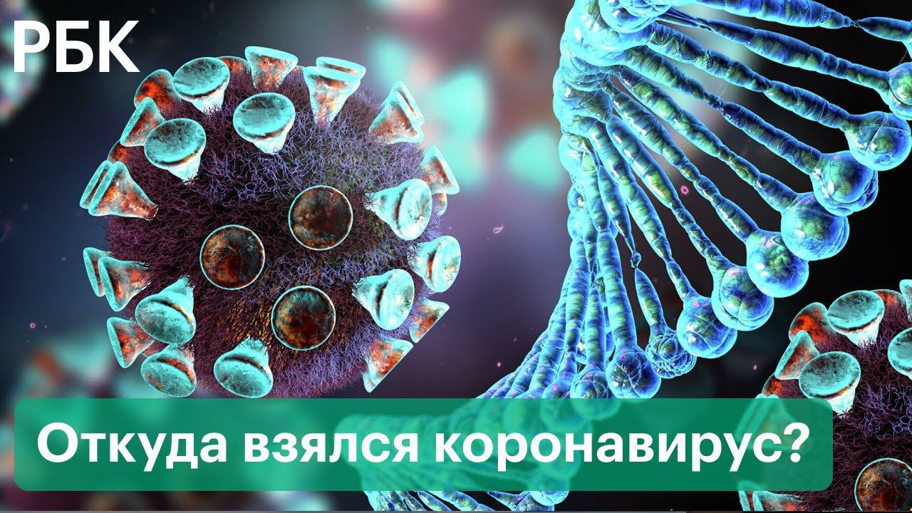 Летучие мыши или лаборатория? Теории происхождения коронавируса. Данные США, Китая, России и ВОЗ