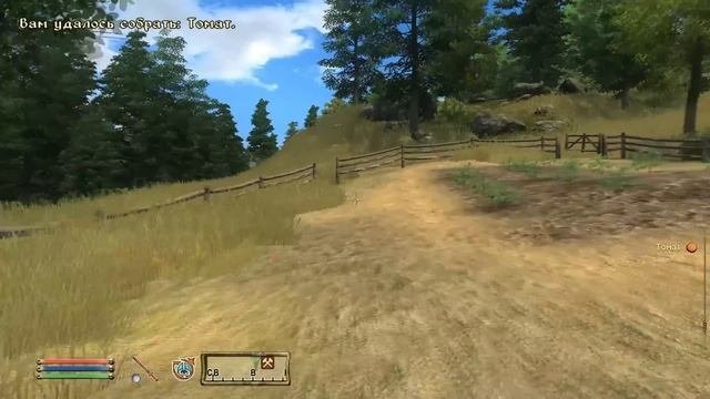 РАБСТВО В ТАМРИЭЛЕ | The Elder Scrolls