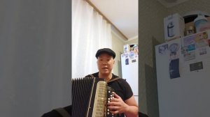 В Городском саду - Виктор Петлюра. Кавер на баяне