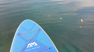 Сплав на САП доске по красивейшим местам / Rafting on a SAP board in the most beautiful places