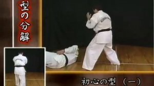 Shoshin no kata sono ichi - первое ката