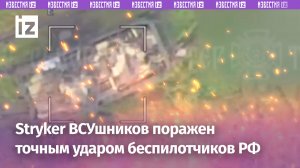 БТР Stryker сожжен точным ударом БПЛА: контратака ВСУ сорвана / Известия