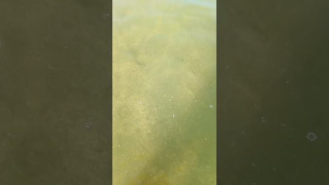 Море осенью в Голубицкой.