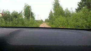 Проезд к участку в посёлке Апраксин, в садоводстве Магистраль Кировского р на Ленинградской обл