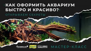 Как оформить аквариум быстро и красиво. Запись мастер-класса