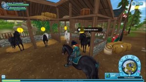Какую лошадь купить? Полезные лошади в Star Stable Online? Игры про лошадей