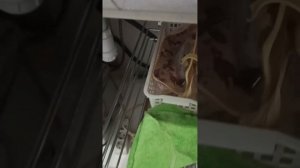 Обновление в ванной комнате.