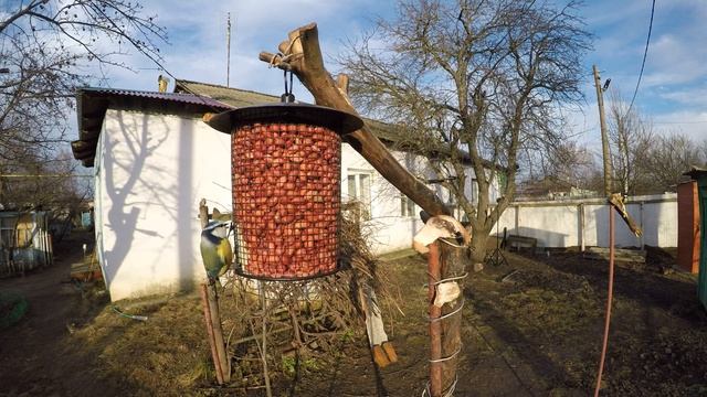 КОШКА спугнула Лазоревку и Синиц Арахис Сетчатая Сало Зима Денисово 8 смотреть онлайн