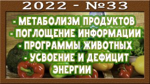 Энергоинформационный обмен. Программа отказа. Энергетические практики. Информационное очищение.
