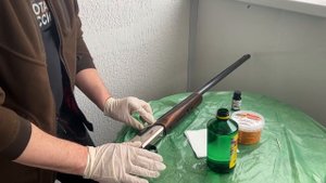 ОХОТА на КАБАНА. ДВЕНАДЦАТЬ КАБАНОВ и ДВЕ КОСУЛИ