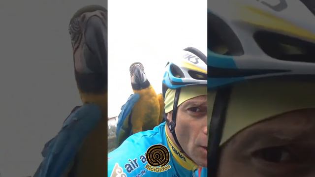 La gran historia de Michele Scarponi y Frankje