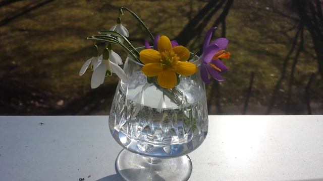 С Благодарностью и любовью женскому началу! смотреть онлайн