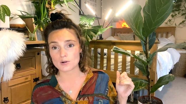 Easy Beginner's Guide To Grow Lights For Houseplants ? GROW LIGHT 101 ? Why, When + How To Use Them