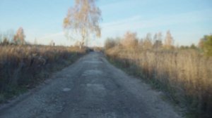 Путешествие с домашними животными