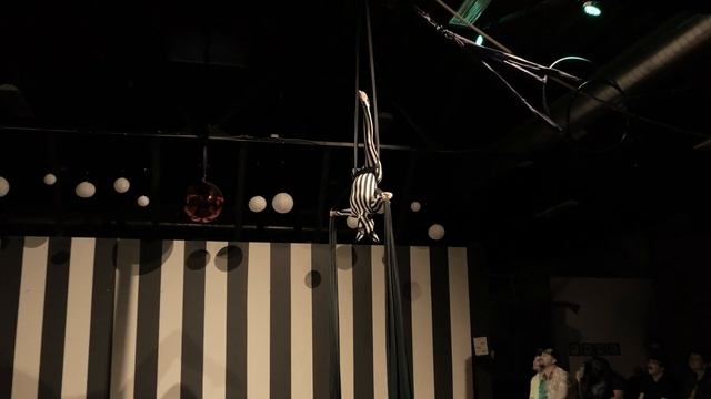 2023 Spring Student Showcase - Tracey смотреть онлайн