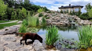 Как мы построили пруд? История строительства пруда с каскадом