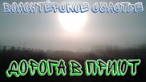 Подготовка к первой поездке в приют для собак / Волонтерское счастье / Кинология / Зоопсихология