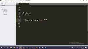 PHP for Beginners - LESSON 3 (Basic Syntax and First Steps) - 4. Variables