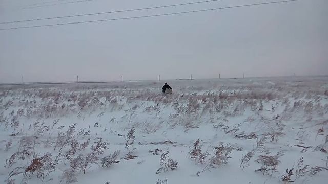 Мотособака смотреть онлайн