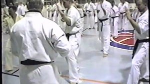 Сюто маваси укэ (Фомин)