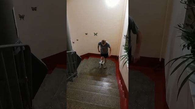 С первого этажа на пятый и обратно⚽?. Football training at home