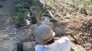 Облаживание ямы водяного счётчика,камнем ракушкой