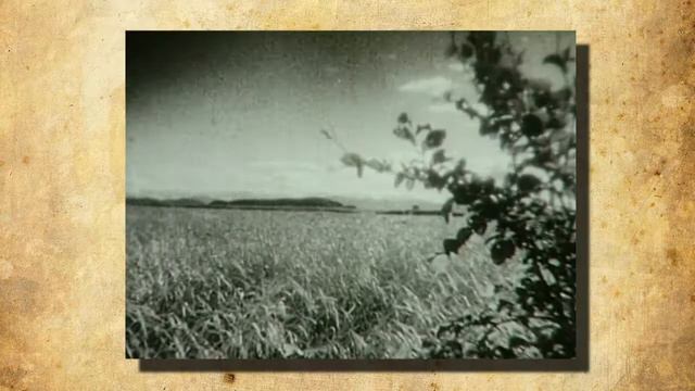 «История одного шедевра»: о начале русской климатологии