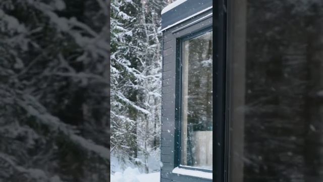 Снежная сказка в глэмпинге «Елки на горке» в пригороде Петрозаводска #отдыхвкарелии #снегкружится