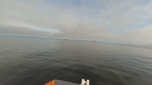 Ловля камбалы 2022 на Маяке Токаревского смотреть онлайн