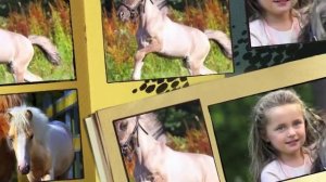 Продажа пони  ОГРОМНЫЙ ВЫБОР