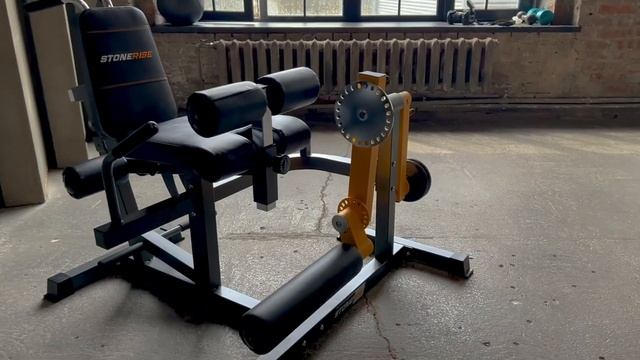 Тренажер для сгибания-разгибания ног Stonerise DTrainer DJS3001 смотреть онлайн