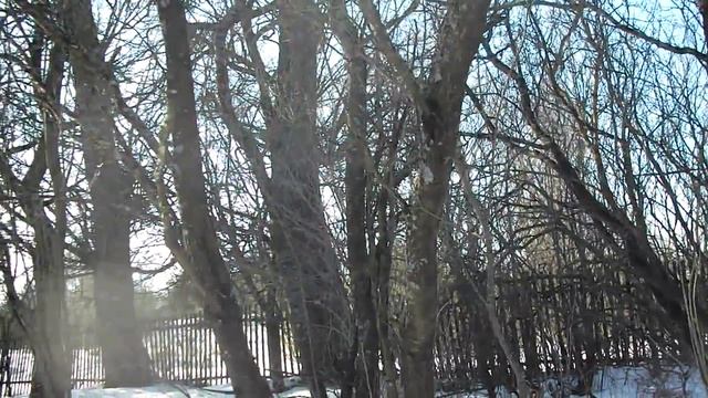 осматриваю сад// уборка в кладовке смотреть онлайн