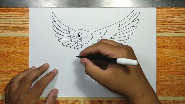 How to Draw an Eagle Flying - Swooping Down смотреть онлайн